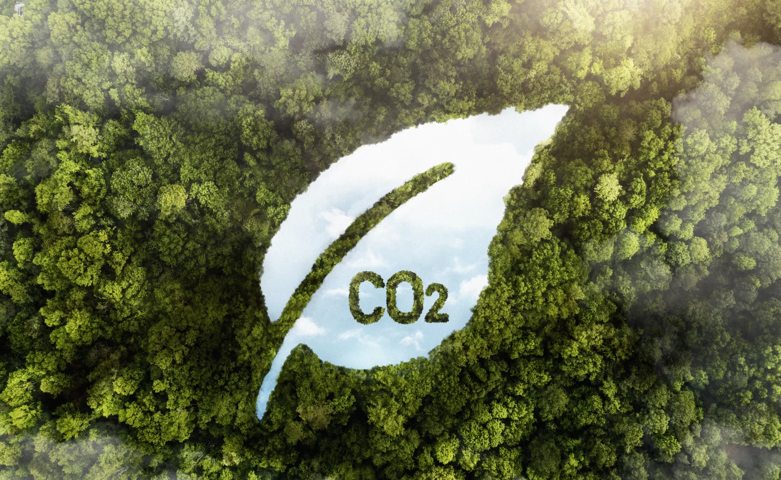 Tunisia Low Carbon Economy 2024